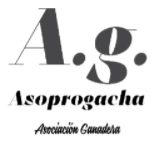 Asoprogacha
